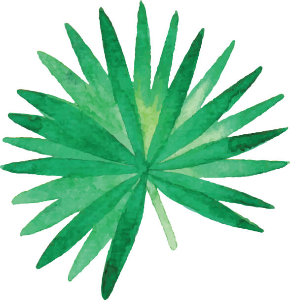 Leaf Watercolor