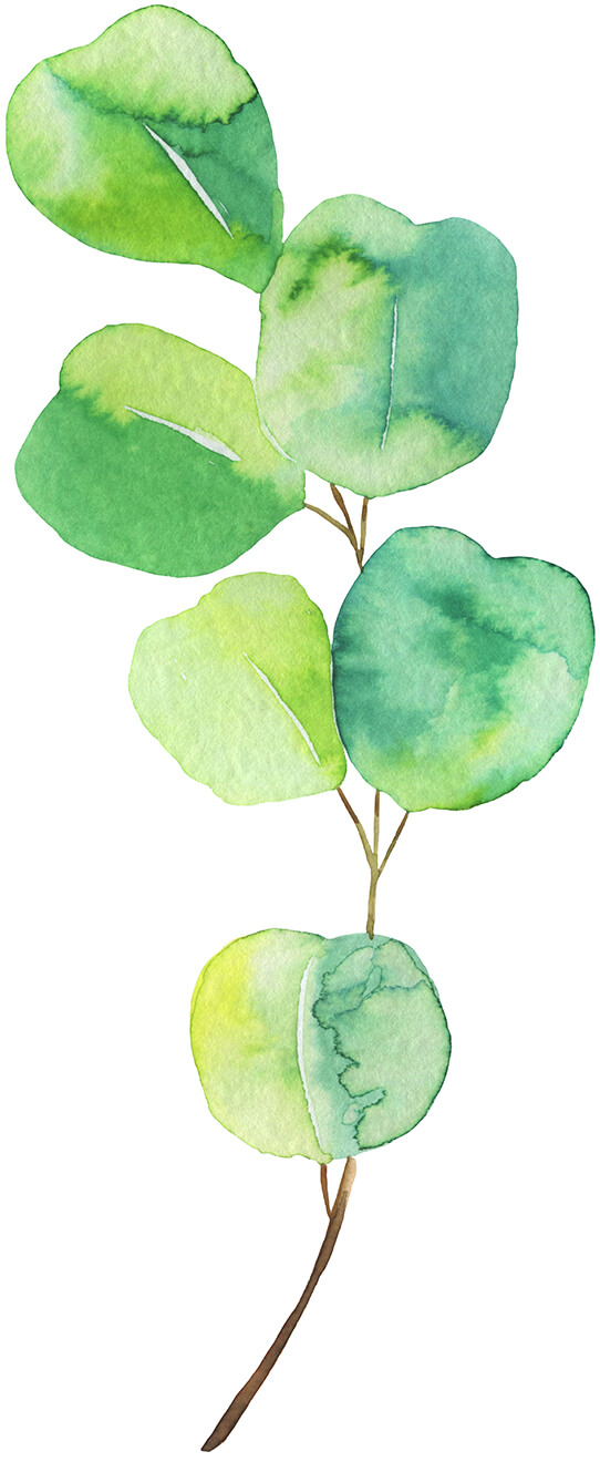 Leaf 5 Watercolor