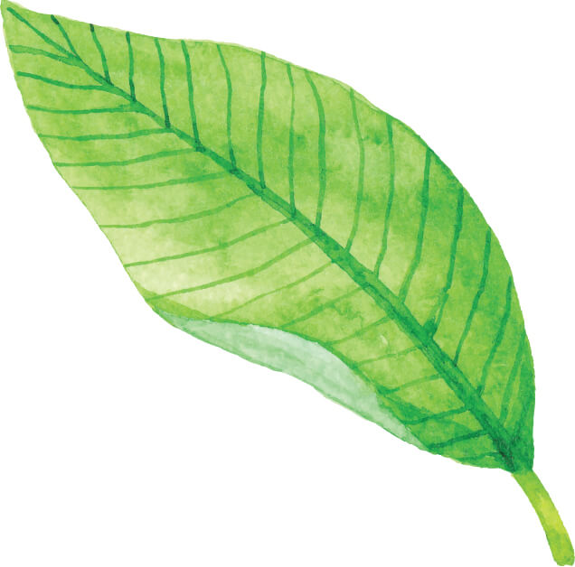 Leaf Watercolor